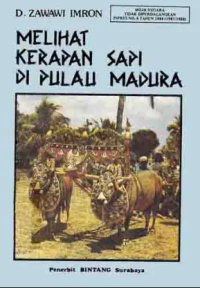 Image of Melihat Karapan Sapi Di Pulau Madura