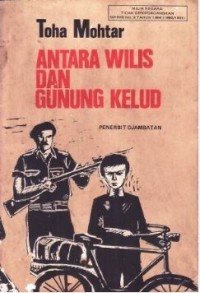 Image of Antara Wilis dan Gunung Kelud