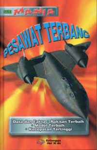 Image of Pesawat Terbang