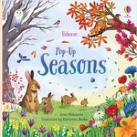 Image of Usborne Pop Up: Seasons